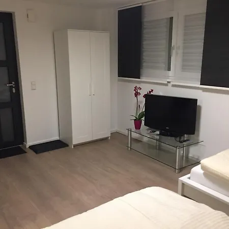 Ardi * 필더슈타트